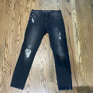 Articles of Society size 26 Short